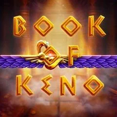 Book Of Keno VS casino